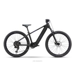 Raymon Zorq Pure 26"