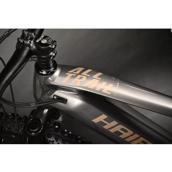 Haibike Alltrail 5 titane caramel